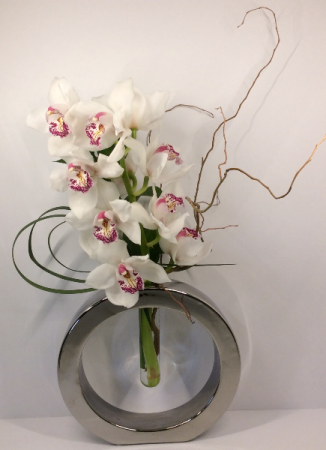 Orchid Cirque