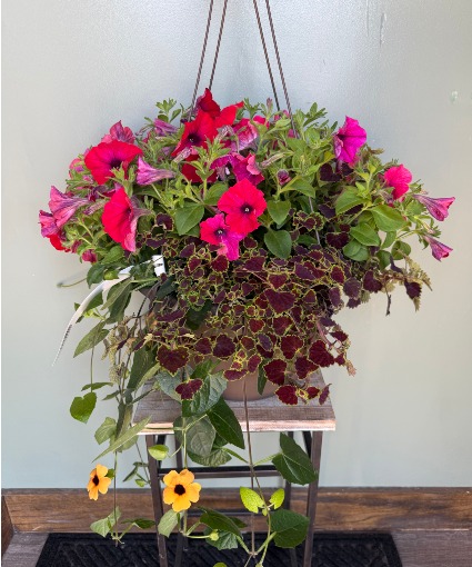 Large Outdoor Hanging Basket
