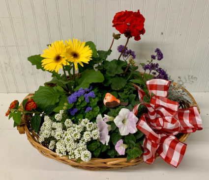 Large Oval Basket of Plants
