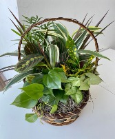 Large Plant Basket