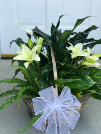 Large Plant Basket with Fresh Cut Lilies 