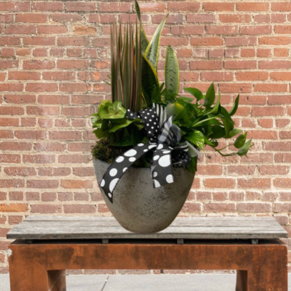 Large planter