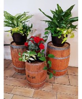 LARGE PLANTERS For the home or office