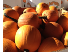 Large Punpkin 