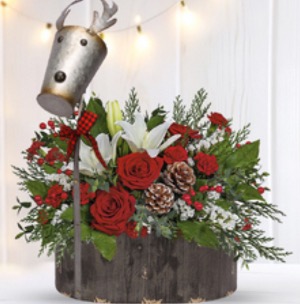 Large reindeer arrangement  
