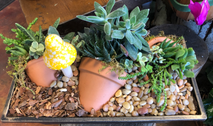 Large Succulent Planter