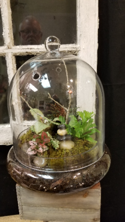 Large Terrarium Terrarium