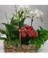 Purchase this funeral home arrangement