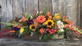 Lasting Harvest   Next Day Delivery 