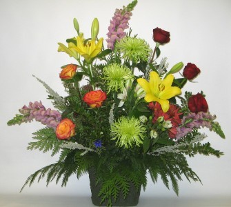 MD-General-Butterfly's and Blooms
