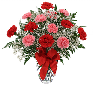 Dozen Carnation Bouquet 