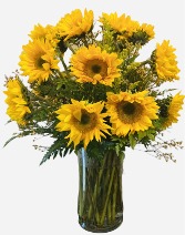 Late Summer Sun Sunflowers