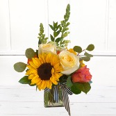 Cube with Sunflower 