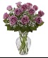 Lavander wishes Dozen premium Lavander Roses