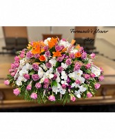 Lavanders & Orchids  Funeral