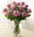 Lavender Roses Roses