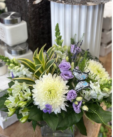 Lavender and Butterflies   in Etobicoke, ON | THE POTTY PLANTER FLORIST