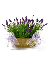 Lavender Basket 
