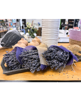 Lavender Bunches 