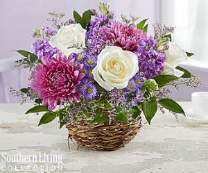 Lavender Delight™ by Southern Living™ Arrangement in Croton On Hudson, NY | Cooke's Little Shoppe Of Flowers Lavender Delight™ by Southern Living™ Arrangement in Croton On Hudson, NY | Cooke's Little Shoppe Of Flowers
