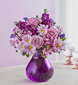 Lavender Dreams