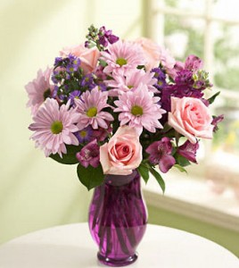 Lavender Dreams Fresh