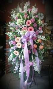 Lavender Expression  SY 135