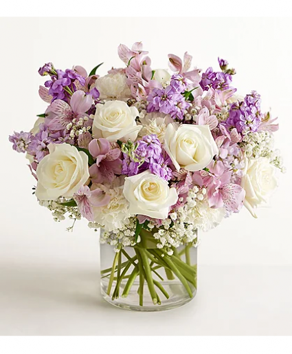 Lavender Grace 