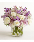 Lavender Grace 