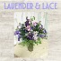 Lavender & Lace Spring Special