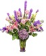 Lavender Lady 