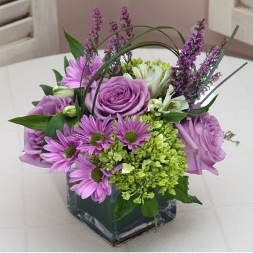 Lavender Passion special in Windsor, ON | K. MICHAEL'S FLOWERS & GIFTS Lavender Passion special in Windsor, ON | K. MICHAEL'S FLOWERS & GIFTS