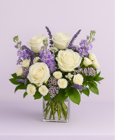 Lavender peace Sympathy