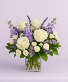 Lavender peace Sympathy