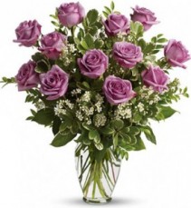 Lavender Roses 