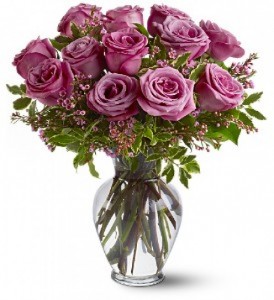 Lavender Roses