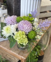 Lavender Splash 