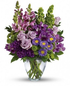 Lavender Springs in Lauderhill, FL | BLOSSOM STREET FLORIST Lavender Springs in Lauderhill, FL | BLOSSOM STREET FLORIST
