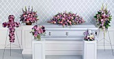 Lavender Tribute Collection 6 pcs Set