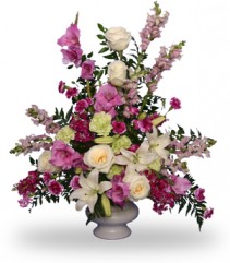 Lavender Tribute