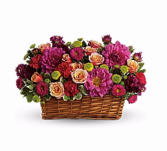 Lavish Beauty Basket Arrangement