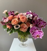Lavish Garden 
