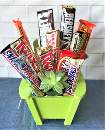 LAWN CHAIR WITH MIX OF CHOCOLATE BARS   LIVE SUCCULENT INCLUDED