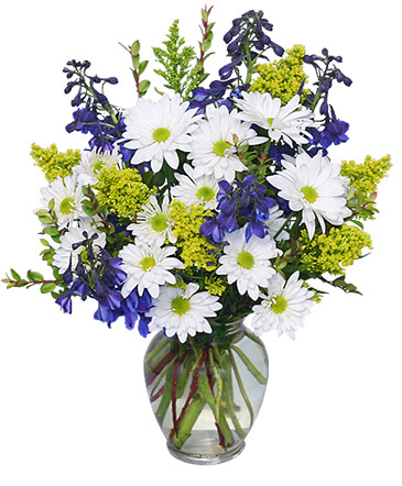 Lazy Daisy & Delphinium Just Because Flowers in Wake Forest, NC | Garden of Eden Florist