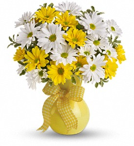Lazy Daisy Sale Vase of assorted Daises in Pittsfield, MA | NOBLE'S FARM STAND AND FLOWER SHOP