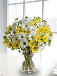 Lazy Dazey Vase Arrangement
