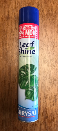 Leaf Shine 