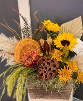 'Cider + Spice' Seasonal Designers Choice 