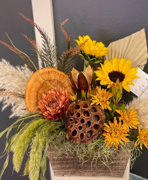 'Cider + Spice' Seasonal Designers Choice 