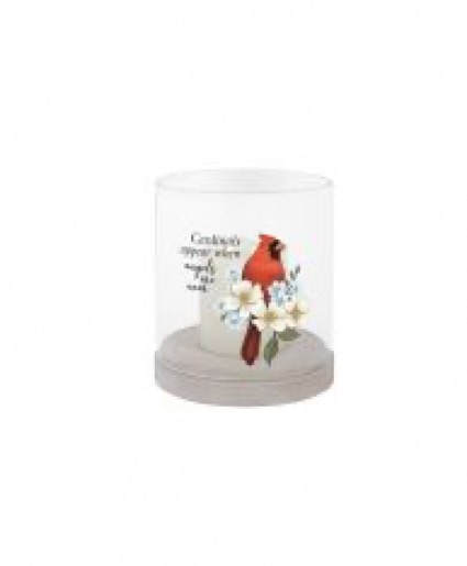 LED Candle Cardinal